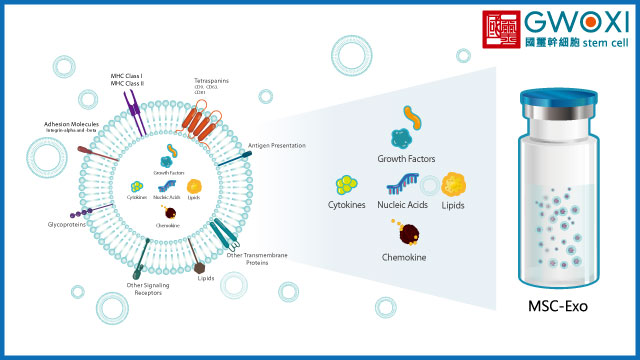 國璽幹細胞具備臨床級外泌體研發與製造能力，為再生醫學建立國際品質標準。
